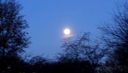 Some Deeper Aspects about Doing Full Moon Meditations