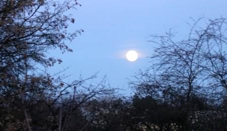 Some Deeper Aspects about Doing Full Moon Meditations