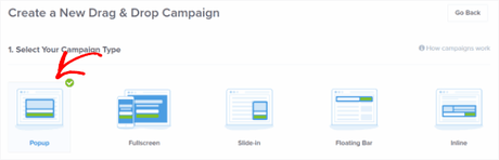 campaign type