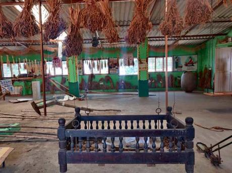 Rice Museum, Shivalli, Karnataka – of seeds, strains and sustainability