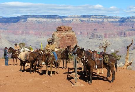 HIKING THE GRAND CANYON IN WINTER.  Photos by Tom Scheaffer at The Intrepid Tourist