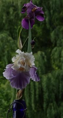 Flower Time