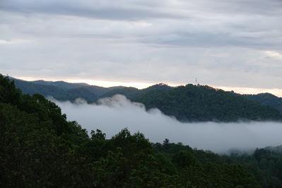 What Is Normal Anyway?