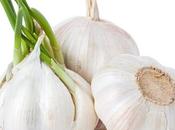 Garlic {allium Sativum}