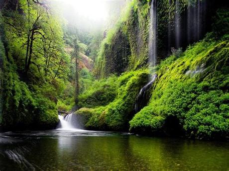 One of the best high quality wallpapers site! Spring Landscape Waterfall In Oregon Usa Nature River ...
