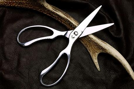 Best kitchen scissors & best for seafood- Yoshihiro All Stainless Steel with background