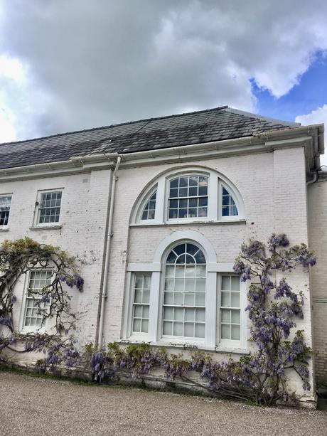 Wisteria, Wildflowers and Weeds