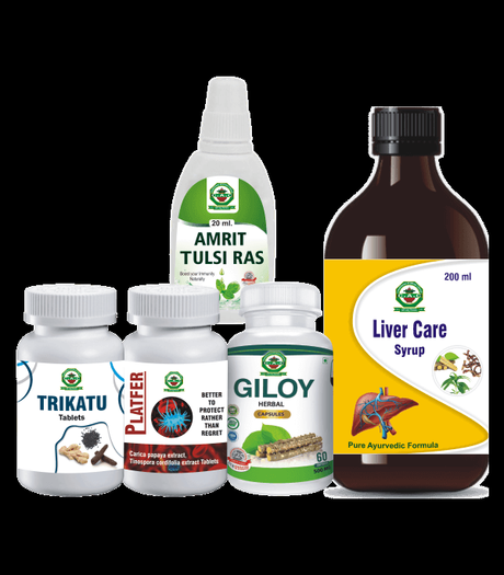 NATIONAL DENGUE PREVENTION DAY NATIONAL DENGUE PREVENTION DAY