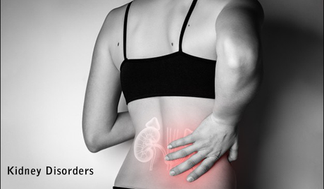 Seven Lifestyle Changes You Need to Make To Prevent Kidney Disorders
