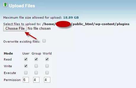 upload file in cPanel