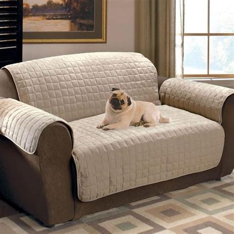 Inspirational sofa pet cover architecture. 20 Collection of Pet Proof Sofa Covers | Sofa Ideas