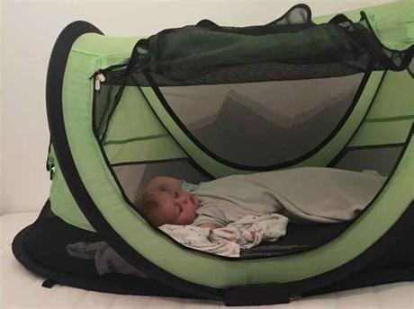 Perhaps you're visiting a relative who has no extra room for your little kid, or your toddler wants to sleep in. Best Toddler Travel Bed - Baby Can Travel