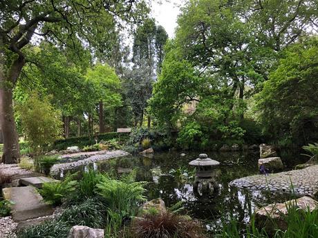 The Japanese Garden at Pinetum Gardens