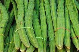 Sehjan (Drumstick) – Ayurvedic Properties & Medicinal Usage