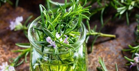 6 Essential Kitchen Herbs to Grow on Your Windowsill