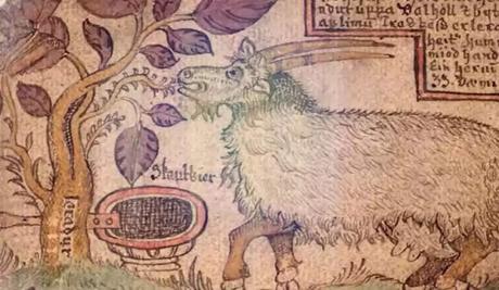 Vikings Got Drunk On Their Own Mead Vikings Got Drunk On Their Own Mead