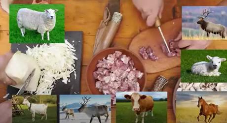 Vikings Ate Horse And Reindeer Vikings Ate Horse And Reindeer