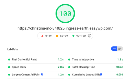 Pagespeed Insights