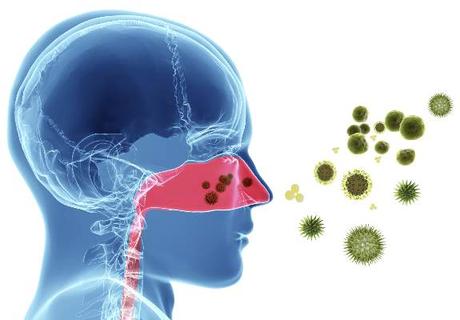 Ayurvedic Treatment for Allergic Rhinitis – Causes, Symptoms & Herbs