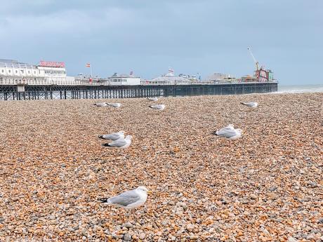 A Windy Trip To Brighton & Our Weekend Away After Lockdown Part 1