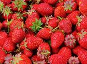 Pick Strawberries These Portland You-Pick Farms