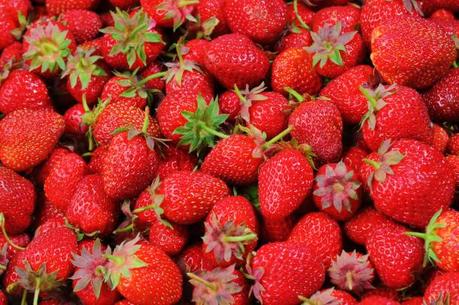 strawberries you-pick farms portland