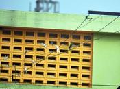 Some History Clothe-clips That Daily