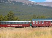 Cramcation: Guidelines Success