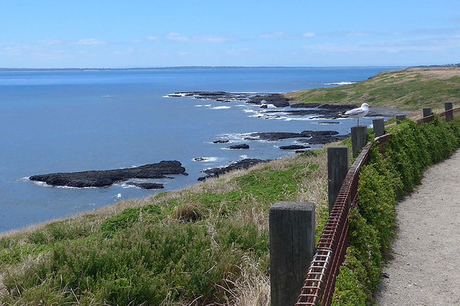 What is there to do in Phillip Island at night?