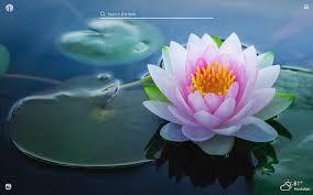 Download hd wallpapers for free on unsplash. Lotus Flower Hd Wallpapers New Tab Theme