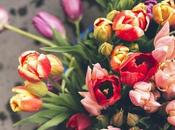 Different Flowers Wallpaper Flower Wallpapers Free Download Unsplash Images with Names.