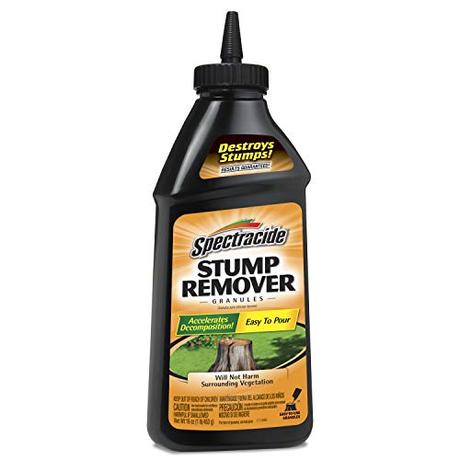 Which Is The Best Tree Stump Killer? Reviews and Buyers Guide