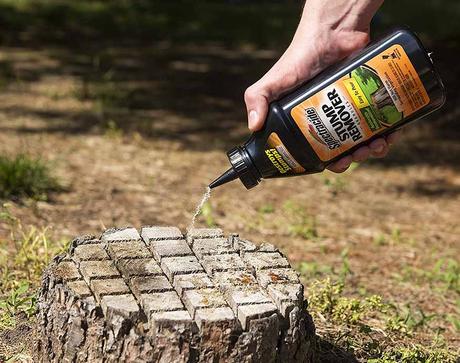 Which Is The Best Tree Stump Killer? Reviews and Buyers Guide