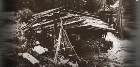 The Siberian Woman Lived In Isolation For 35 Years