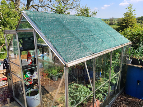 Grand day down at the allotment.