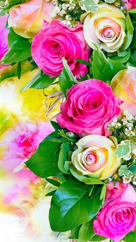 Roses Flowers Bouquet Patterns Multicolored Blooming with Water Drops  Background for Wallpaper Valentine or Wedding Card Stock Image  Image of  gift flowers 165894351