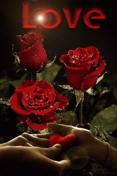 Love rose image wallpapers (55 wallpapers). red roses ~~ love - Beautiful Pictures Fan Art (36544704 ...