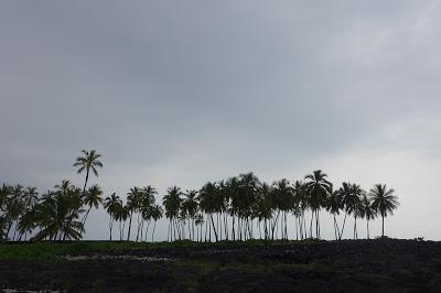 PLACE OF REFUGE on the BIG ISLAND OF HAWAII by Caroline Arnold at The Intrepid Tourist