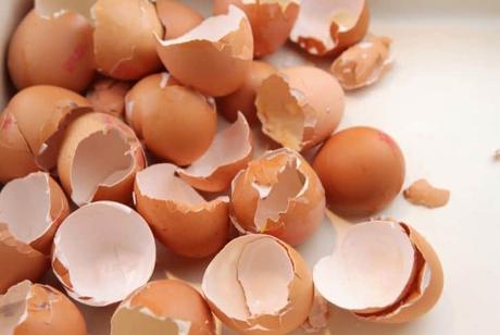 Can You Compost Eggshells? (And Cooked Eggshells?)