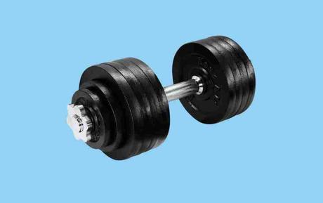 Yes4All Adjustable Cast Iron Dumbbells