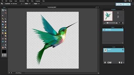 Are you a designer or business that needs to edit thousands of images at once? How To Make Your Picture Background Transparent By Using ...