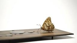 'Hoax': Mamata Banerjee on ICMR chief's 'Covid-19 doses to all by December' remark - Hindustan Times