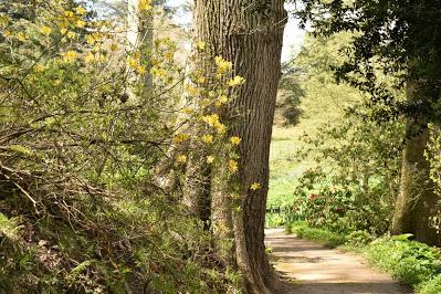 A visit to Powis Castle