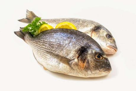 Which is Better, Fresh or Frozen Fish?