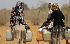 Global Europe: €79.5 billion to support development