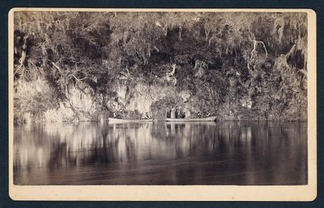 Early photography: Under the Bluffs of the Withlacoochee River, Florida