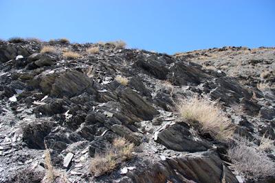 Is there beauty in the Great Basin?