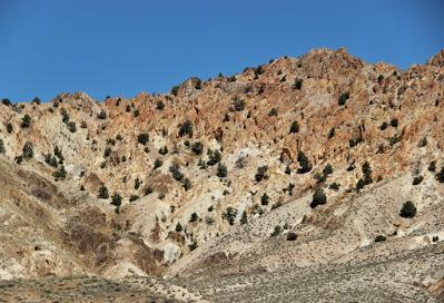 Is there beauty in the Great Basin?