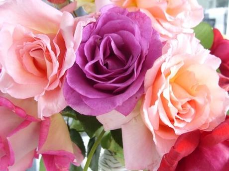 All Flowers Download / VIEW ALL WALLPAPERS: Flowers Wallpapers - Try istock for even more selection. Rose flowers free stock photos download (11,612 Free stock ...