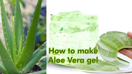 How to Make Aloe Vera Gel at Home